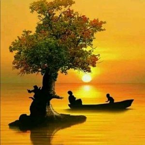 Meet your Posher, Jaison